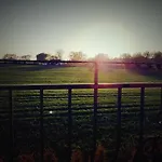 Relax